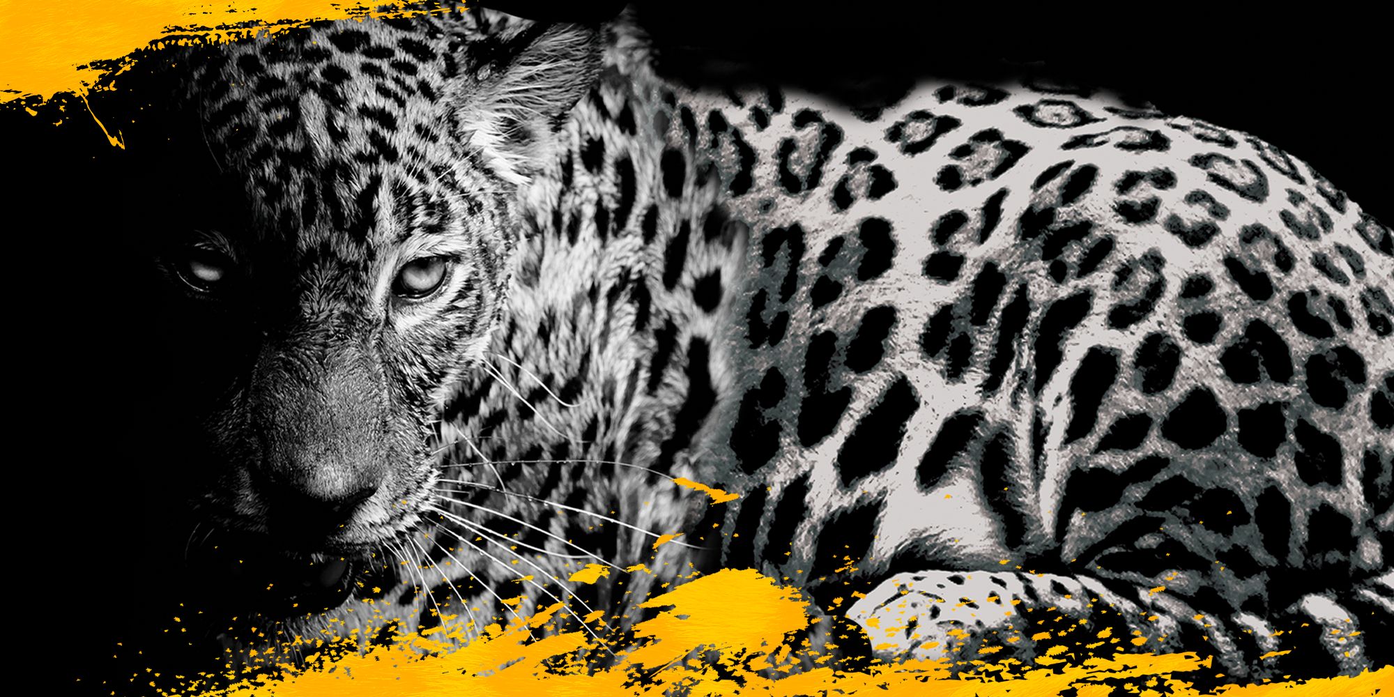 Fundo