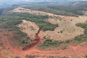 Com plantio de 270 mil mudas no parque estadual do Rio Taquari, MS realiza maior projeto de restauração do país
