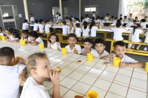 Contribuinte ao declarar IR pode destinar parte do imposto devido para instituições que atendem crianças e idosos