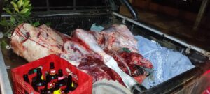 Duas pessoas são presas pelo crime de abigeato