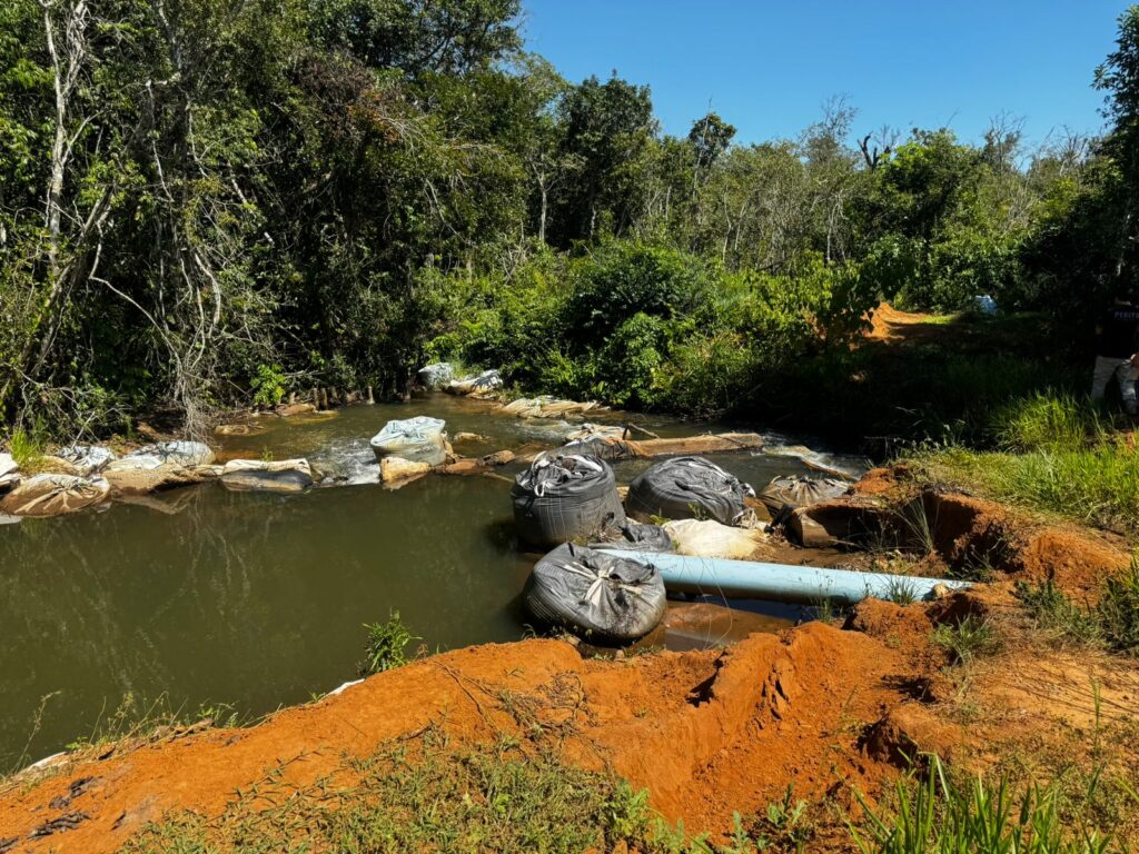 A Polícia Civil investiga a ocorrência de crimes ambientais em Santa Rita do Pardo