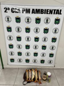 PMA de Corumbá prende indivíduo por captura de Dourado