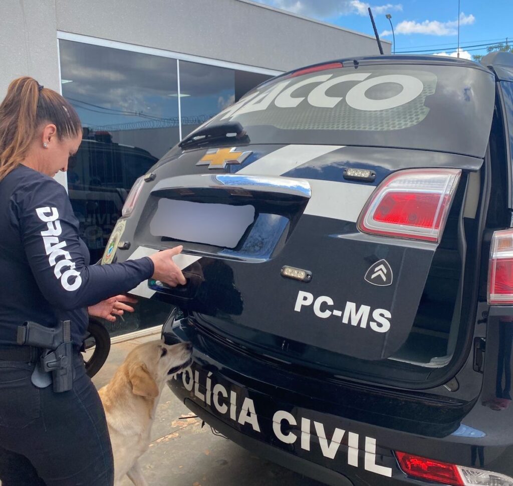 Polícia Civil do Mato Grosso do Sul prende foragido da justiça de São Paulo