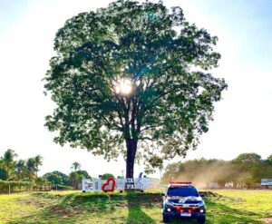 Trator furtado em São Paulo é apreendido em Santa Rita do Pardo, pela Polícia Civil