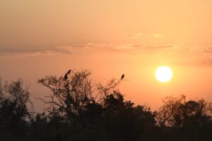 Com agravamento da seca na bacia do Pantanal, Agência Nacional de Águas alerta para situação