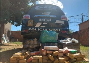 Polícia Civil apreende 81kg de maconha em Campo Grande