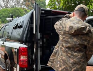Polícia Civil prende homem suspeito de tráfico de drogas e receptação em Ivinhema
