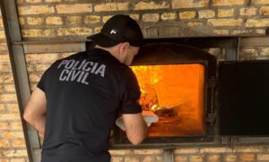 Polícia Civil realiza incineração de 500 kg de maconha em Juti