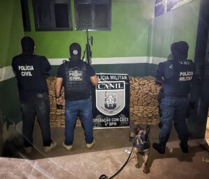 Ação policial apreende 831kg de drogas em Ponta Porã e resulta na prisão de um envolvido no crime