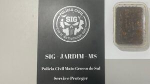 Autor de furto praticado na área central de Jardim é identificado pela Polícia Civil