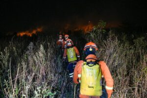 Governo de MS declara situação de emergência em cidades afetadas por incêndios florestais