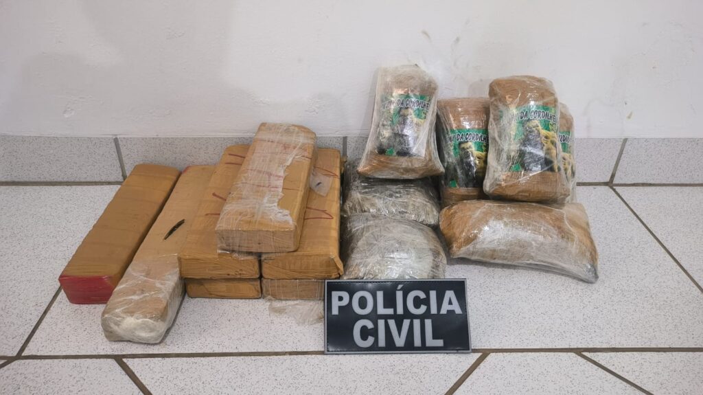 Mulher vem do Pará para buscar drogas em Campo Grande e é presa por dois policiais civis em Camapuã