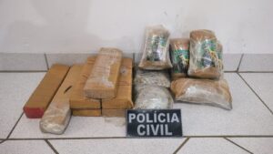 Mulher vem do Pará para buscar drogas em Campo Grande e é presa por dois policiais civis em Camapuã