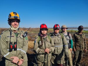 Ninho de tuiuiú e onça são monitorados por socorristas em áreas de incêndios no Pantanal