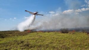 ONGs destacam parceria com o Governo de MS no trabalho conjunto contra incêndios no Pantanal
