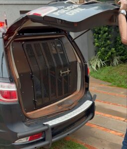 Polícia Civil cumpre mandado de prisão por furto em Nova Andradina