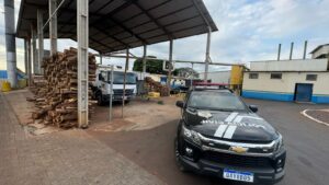 Polícia Civil incinera mais de 1 tonelada de drogas em Iguatemi