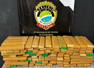 Polícia Civil prende homem com 95kg de maconha em Dourados