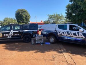 Polícias Civil e Militar encontram depósito de maconha em área rural de Rio Brilhante