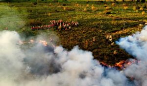 Treino de combate direto ao fogo qualifica novos soldados dos Bombeiros para atuar em incêndios florestais
