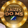 PROGRAMA RAÍZES DO MS